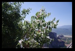 Meteora -28-06-2017 - Bogdan Balaban